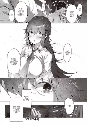 Cosmos - Like a Flower