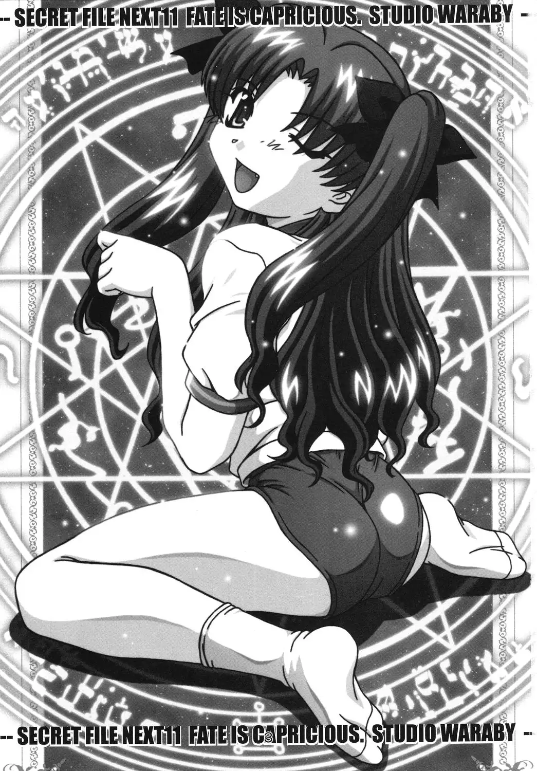 SECRET FILE NEXT 11 - Fate is capricious english cgrascal