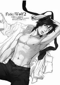 (SPARK8) [MECCHORI. (Mitsuru)] Fate/Wolf 2 (Fate/Zero)