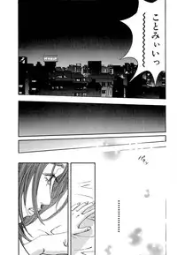 [Sakabe Shuuichi] Shin Rape Vol 4