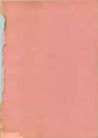 [Ebifly] Itoshi no Ebi Senbei