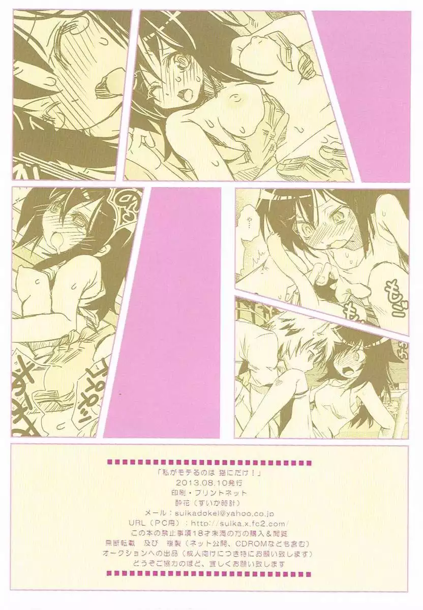 I'm Popular Now, But Only With Cats!