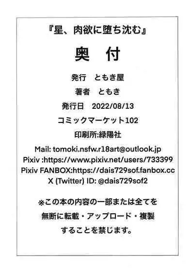 (C102) [ともき屋 (ともき)] 星、肉欲に堕ち沈む (Fate Grand Order)（是小狐狸哦）
