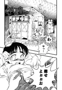 [Yoshida Furawa] Flower Complex