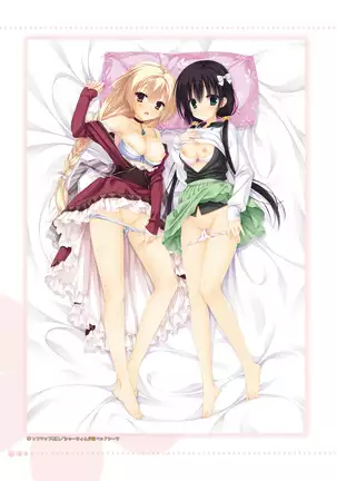 AMAIRO ISLENAUTS OFFICIAL VISUAL FAN BOOK