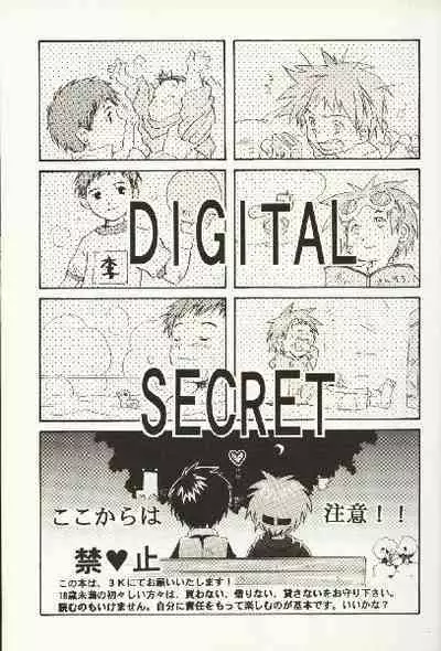 Digital Secret