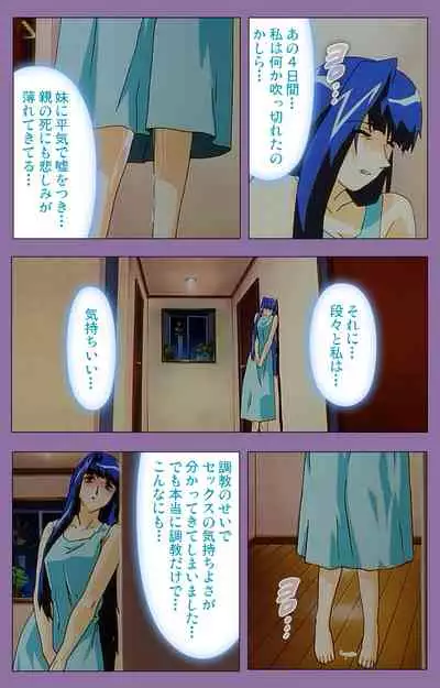 Shimai-ijiri kanzenhan