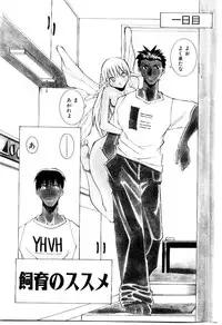 [Dowman Sayman] VAVA