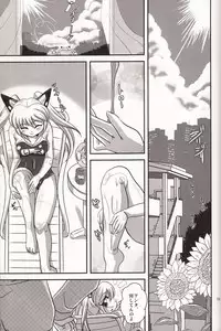 (C84) [Misuterutein (Oborogumo Takamitsu)] VH2 (Busou Shinki)