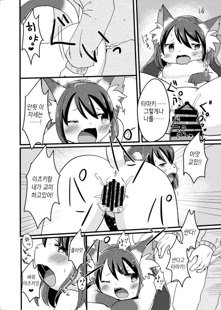 Nekomata no Tamaki-chan