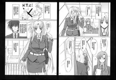 SICOSICO COLLECTION 01