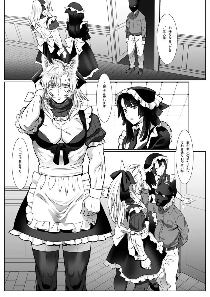 Gin neko to kuro neko