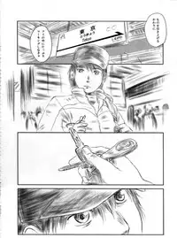(C82) [MASHIRA-DOU (Mashiraga Aki)] FORK IN THE ROAD 2 (Kanzenban)