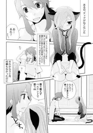 Meshimase Miso Torte