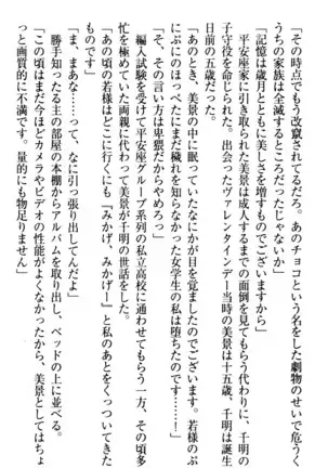 年上メイドの新婚日記