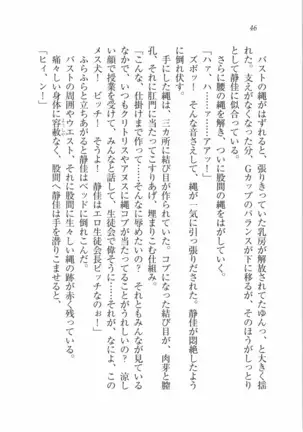 えむ×えむ！ 妹と生徒会長