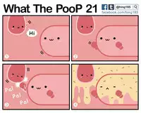 What the PooP [On Going]