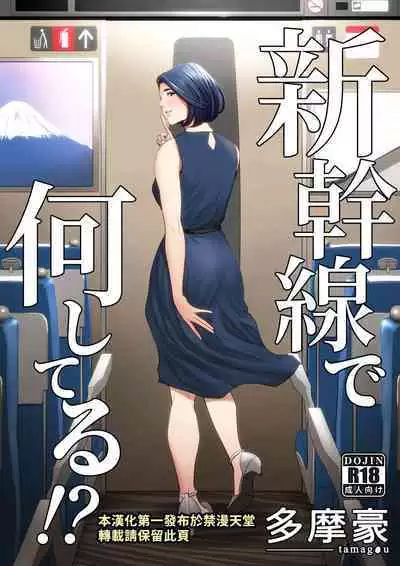 新幹線で何してる