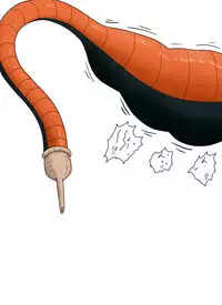 セルの丸呑み吸収