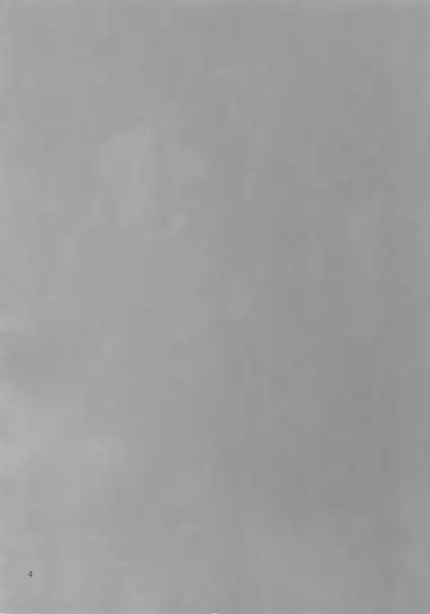 The Beautiful Tinker Bell 7