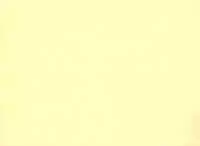 (SC19) [Inuburo (Inuburo)] Tetesen 02