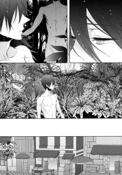 An Oasis In The Desert