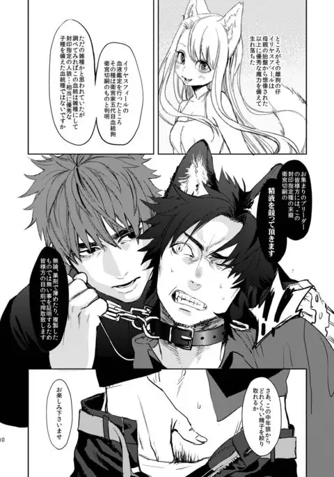 Fate/Wolf
