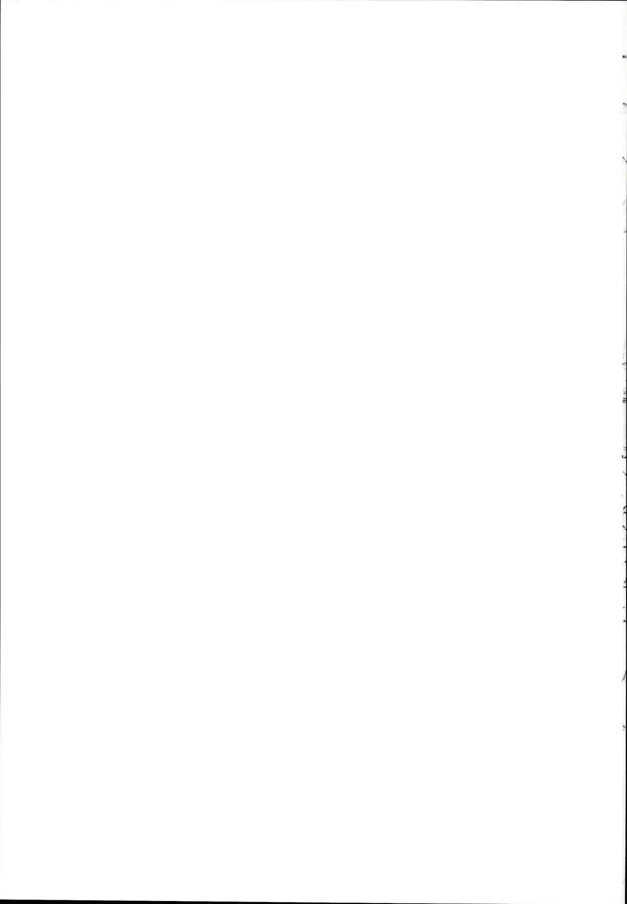 Nanoha to Rinkan to Onii-chan