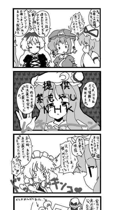 東方皮想天則