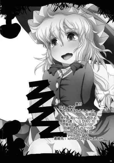 Touhou Ochinpo Haechatta Goudoushi