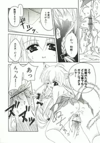 [Lapis Lazuli] Loving!