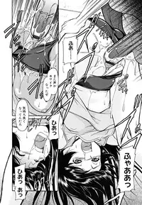 [Toshiaki Kaneko] Inner Equal Bloomers