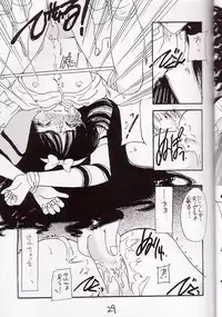 [Cafeteria Watermelon] Cherry 1/2(2) (Card Captor Sakura)