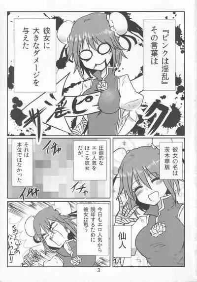 Gomennasai Doinran Deshita.