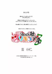shock触ブリギュア４