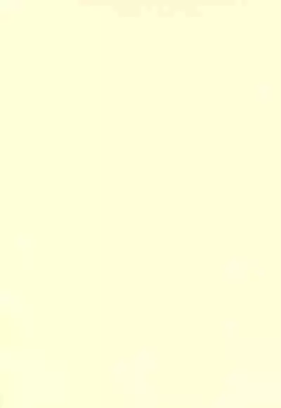 (C99) [Retasuya (Retasu)] Ennai Konkatsu