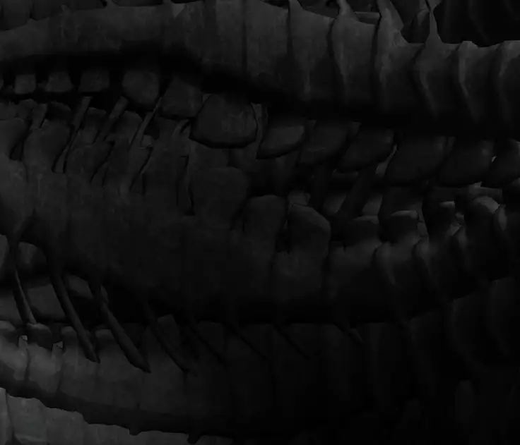 Himeragi Slave Auction