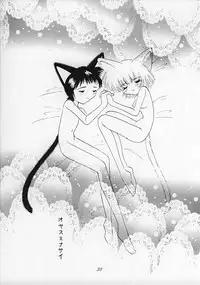 (C51) [Nekomimi Sorcery (Masamineko)] Ebaneko (Neon Genesis Evangelion)