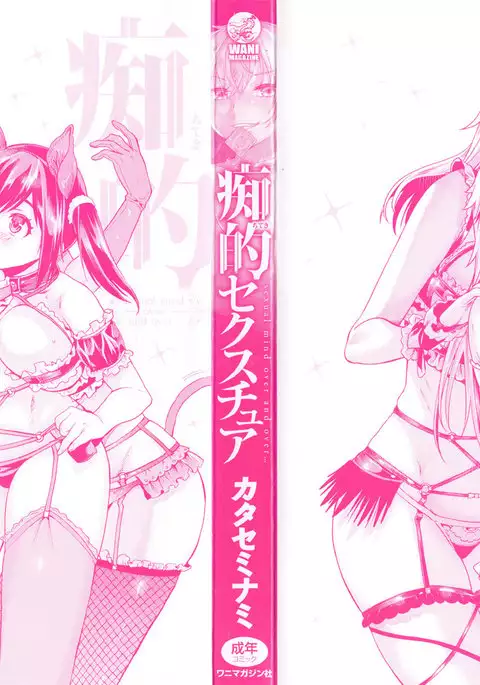 Chiteki Sexture - sexual mind Over And Over...