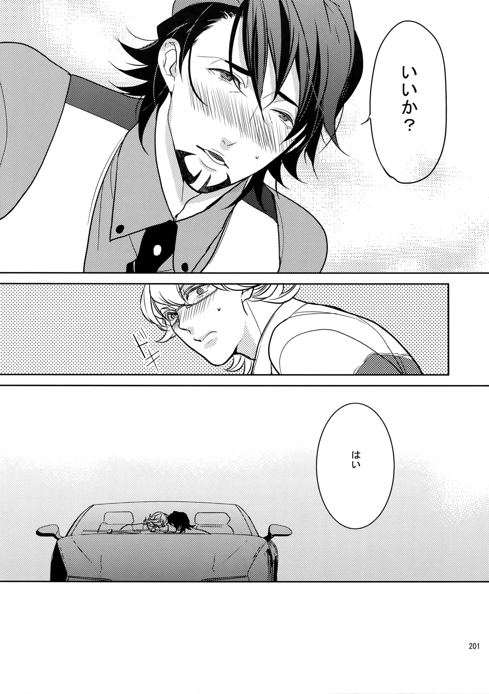 BOROZS Usagi Tora Sairoku