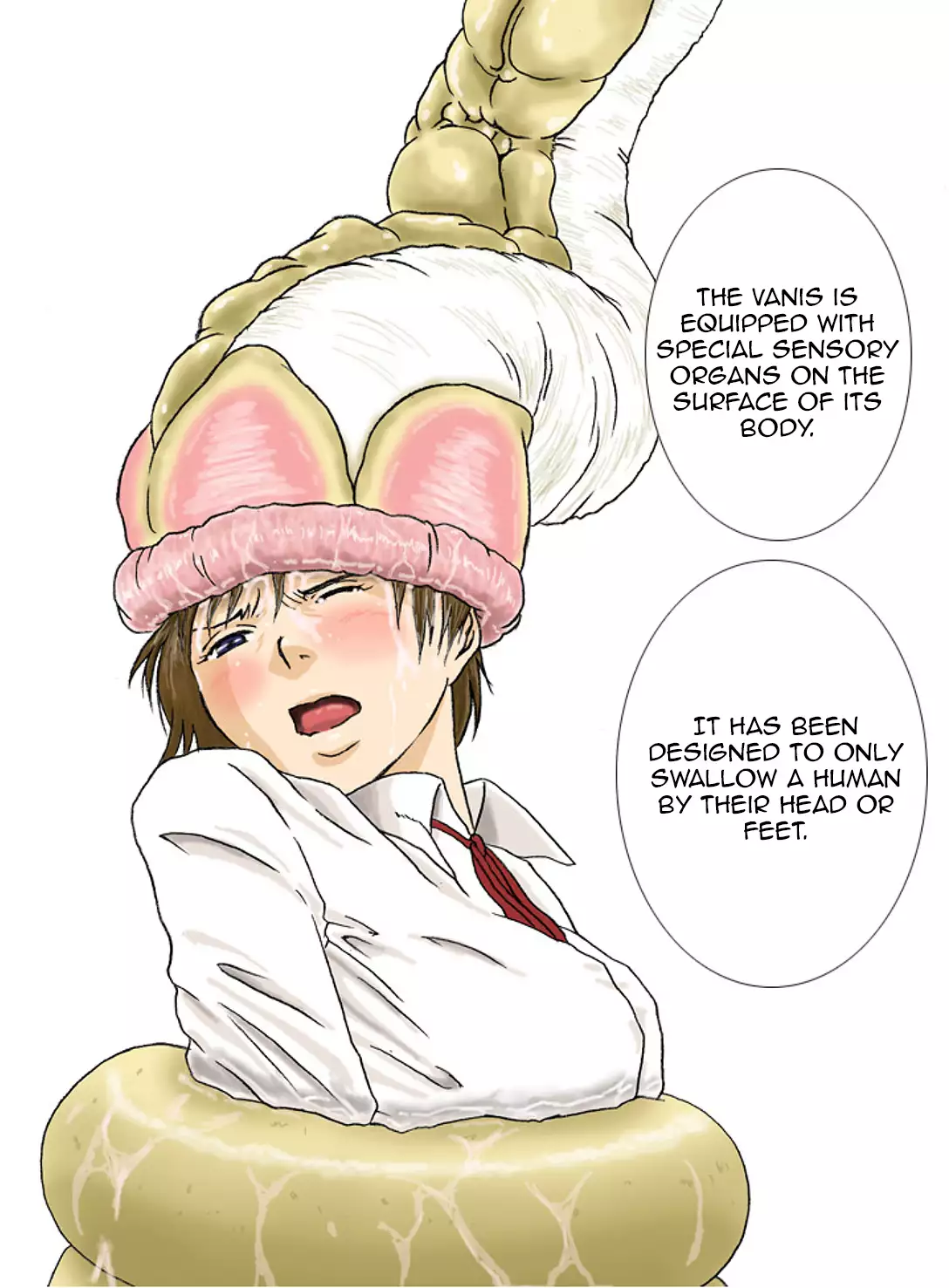 P045-02 Vanis Report