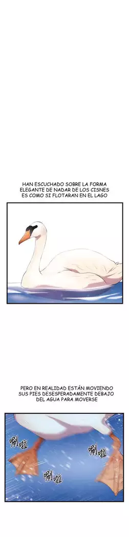 PRESENTADORES DE OFICINA