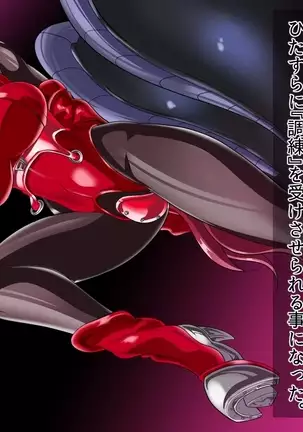 ドミギュラス・レポート