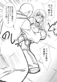 (C69) [BLUE GARNET (Serizawa Katsumi)] THE-VALKYRIE (Final Fantasy Tactics)