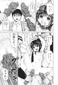 [Kawady MAX] Ana Shoujo