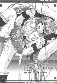 Twin Tail Mix (Various)